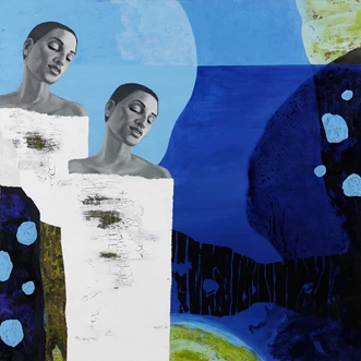 Skjult agenta | Solgt